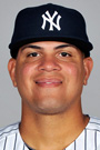 Delin Betances 2014